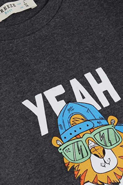 Breeze Girls & Boys Boys Long Sleeve T-Shirt with Hat Cool Lion Printed 1-4 Years, Dark Gray