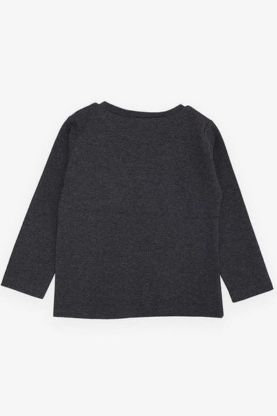 Breeze Girls & Boys Boys Long Sleeve T-Shirt with Hat Cool Lion Printed 1-4 Years, Dark Gray