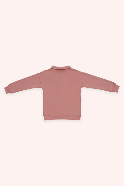 Panço Erkek Çocuk Yakalı Gül Rengi Sweatshirt