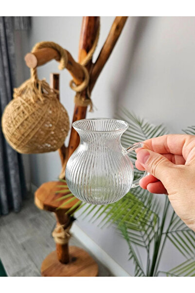 BuNeBox 2-Piece Pleasant Ala Striped Borosilicate Glass Tea Cup with Handle