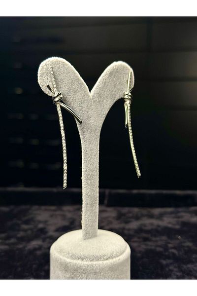 Amber T.Co Brand Model Steel Earring