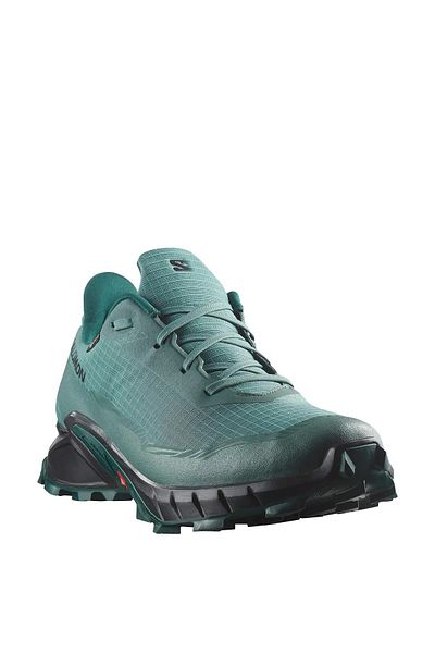 Salomon L47307500 O.C.O Alphacross 5 Gtx Erkek Spor Ayakkabı