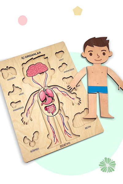 zoziva Montessori Educational Internal Organs Wooden Puzzle Toy - We Learn Hu...