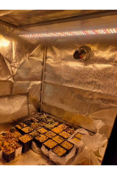 Canna Qb800 Bitki Yetiştirme Lambası Full Spectrum Bitki Yetiştirme Ledi Grow...