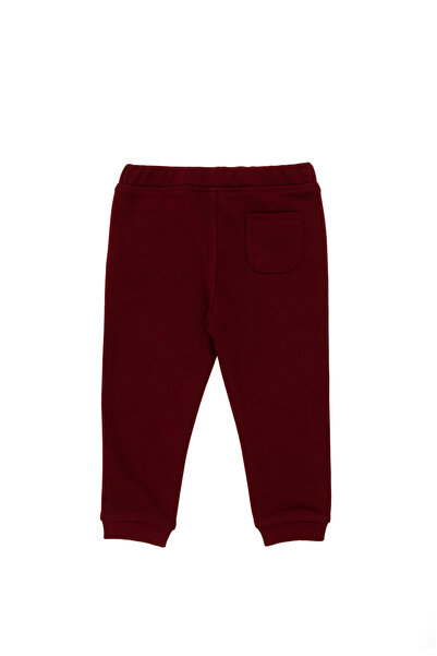 U.S. Polo Assn. Baby Boy Burgundy Sweatpants 50295888-Vr014