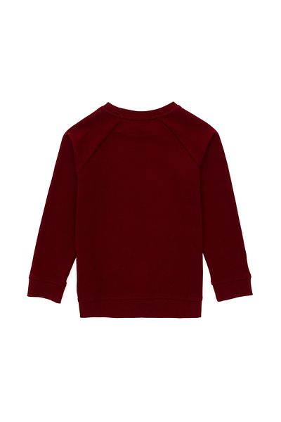U.S. Polo Assn. Boy's Burgundy Basic Crew Neck Sweatshirt 50293633 -Vr014