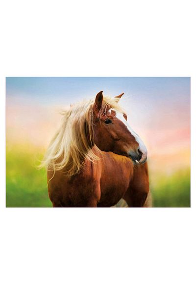 EDUCA Puzzle in Birth of 19000 Days 500 Pieces Horse