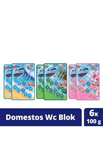 Domestos Tuvalet Bloğu 100 G Çam Ormanı 100 X2 Manolya Buketi 100 G X2 Okyanu...