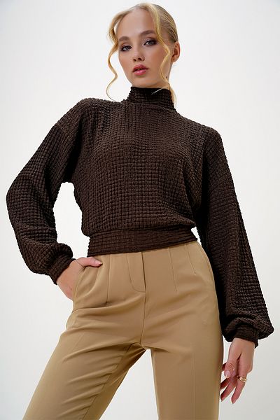 Trend Alaçatı Stili Braune Crop-Bluse aus Seersuckerstoff mit halbem Rollkragen für Damen ALC-X13124
