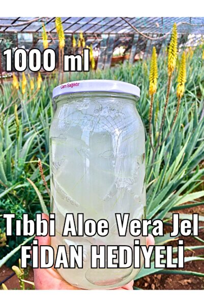 FidanBudur Aloe Vera Gel, Aloe Vera Jel, Doğal 1000 Ml, Zehirsiz Üretim, Alovera Jel