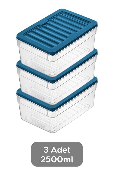 Meleni Home 2500ml Blue 3-Piece Deep Refrigerator Organizer Set - Microwave Freezer Container