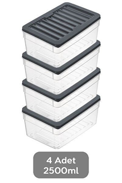 Meleni Home 4'lü Derin Buzdolabı Organizer Set Düzenleyici Saklama Kabı Mikrodalga Difriz Kabı 2500ml Antrasit