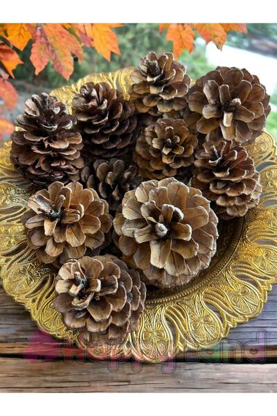 Happyland 20 قطعة من مخروط الصنوبر الطبيعي للزينة للعام الجديد