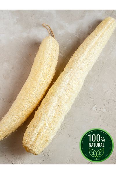 LEODİNS Natural Pumpkin Fiber (1 Piece 60-70 cm), Kitchen and Bathroom, Natural Scrub