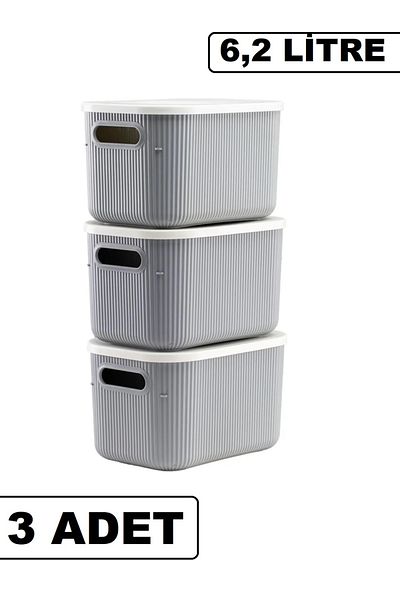 Bayev 3 Pieces Storage 6lt Gray Multi-Purpose Closet Organizer Box with Lid, Decorative Storage Box