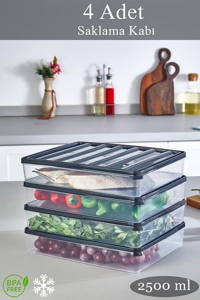 KRM HOME 4 Pieces 2500 ml Pulses Food and Storage Container - Frozen Food Meat and Vegetables