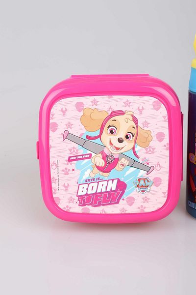 PAW PATROL DEKOMUS LICENSED PAW PATROL STEEL Flask 500 ML AND DOUBLE-LAYER FEEDING BOWL SET