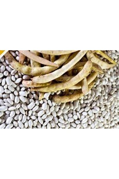 Köy Tohumları 150 Adet Tohum Organik Niğde Yayla Beyaz Oturak Fasulye Fasülye...