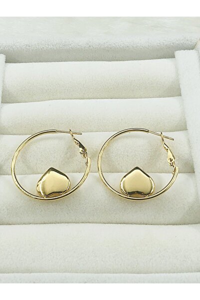 DS DİAMONDSHOP Halka Heart Model - Steel Earrings Byçkp- 202411302
