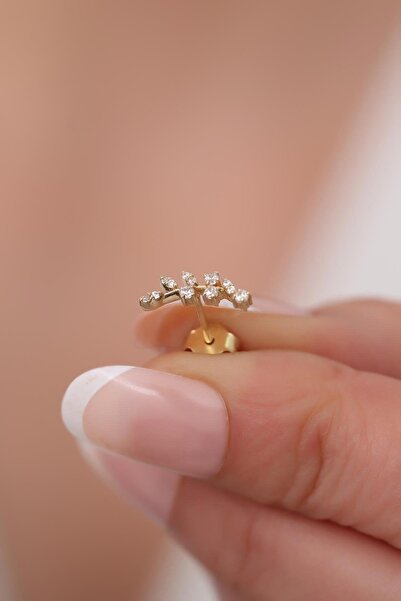 Bayar Gold 14 Ayar Altın Taşlı Dal Küpe