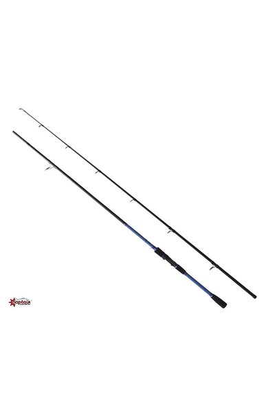 CAPTAIN 1449 Shorline 290cm 40-90gr Shore Jig Kamışı