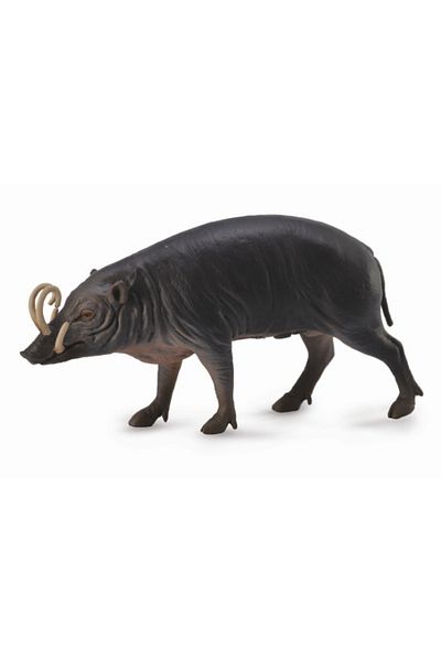 Collecta Pig Sulawesi Babirusa L - Ειδώλιο Ζώου