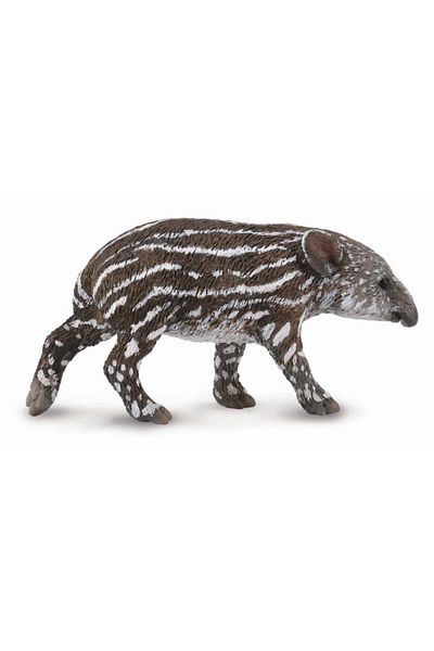 Collecta Φιγούρα Ζώου Baird's Tapir Cub S