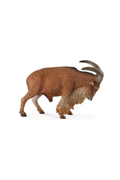 Collecta Barbary Aries L - Ειδώλιο Ζώου