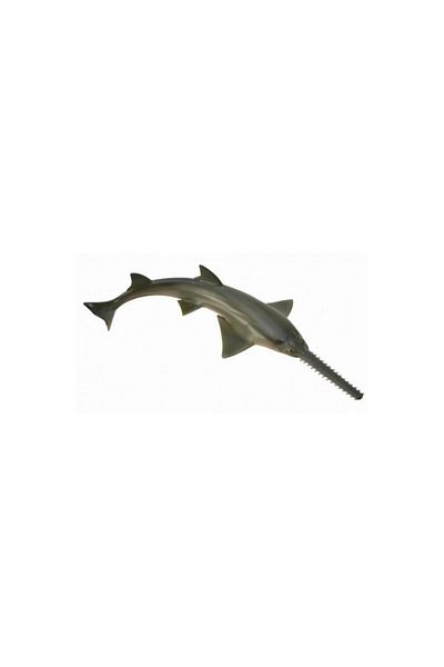 Collecta Saw Shark M - Φιγούρα Ζώου