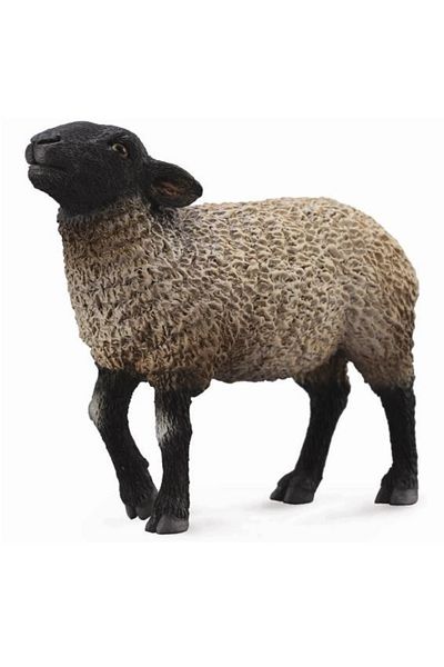 Collecta Suffolk Sheep M - Ειδώλιο Ζώου