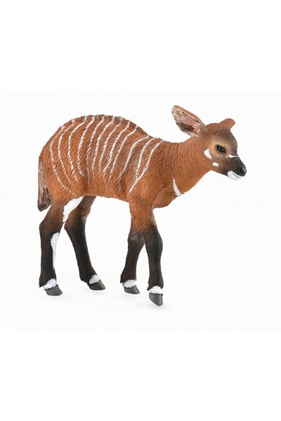 Collecta Bongo Αντιλόπη Cub M - Φιγούρα Ζώου