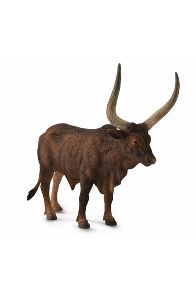 Collecta Ankole-watusi Bull L - Ειδώλιο Ζώου
