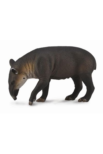 Collecta Tapir Baird L - Ειδώλιο Ζώου