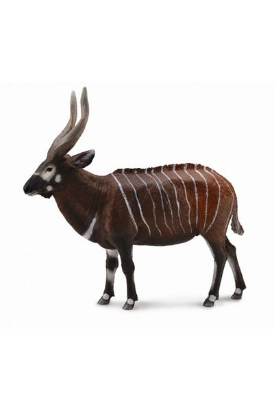 Collecta Αντιλόπη Bongo Xl - Φιγούρα Ζώου