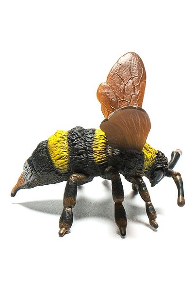 Collecta Μέλισσα - Φιγούρα Ζώου