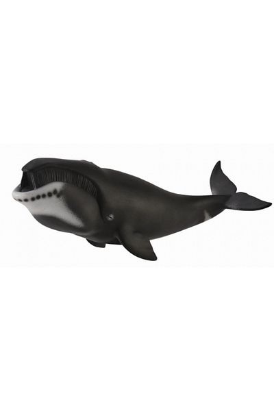 Collecta Φάλαινα με τοξοκεφαλή Xl - Ειδώλιο ζώου