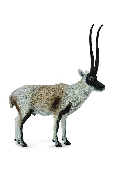 Collecta Ειδώλιο Γαζέλας Chiru L