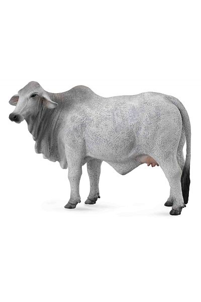 Collecta Brahman Cow L - Ειδώλιο Ζώου
