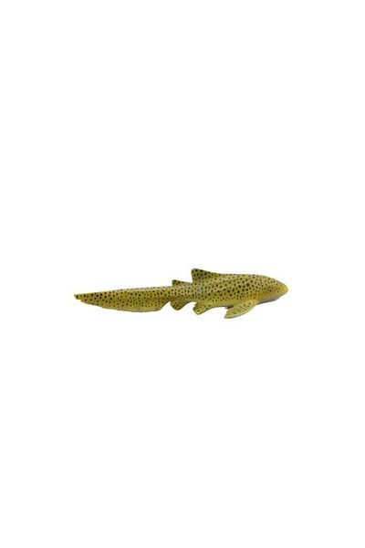 Collecta Ζέβρα Καρχαρίας M - Φιγούρα Ζώου