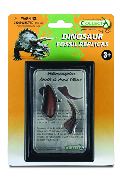 Collecta Dinte si Gheara de Velociraptor Box Set - Animal figurina
