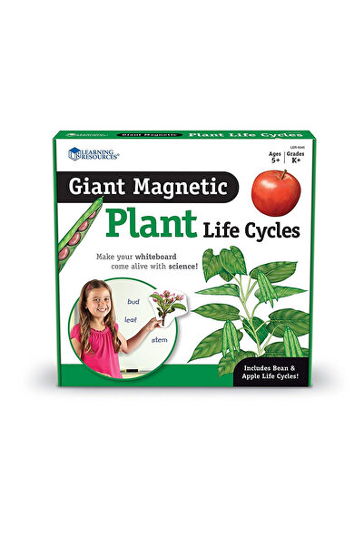 Learning Resources Životní cyklus rostliny - magnetická sada