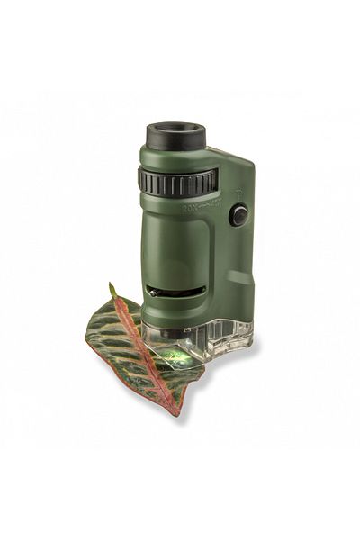 Carson Pocket LED microscope, 20x-40x magnification, MicroBrite
