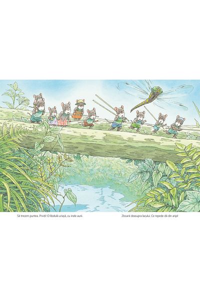 Editura Cartea Copiilor The Mouse Family and the Dragonfly Lake - Kazuo Iwamura