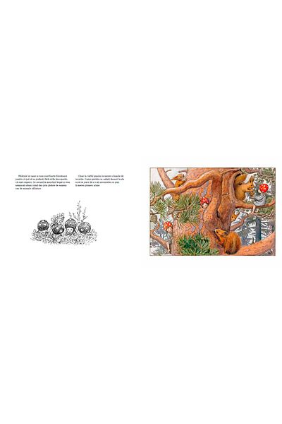 Editura Portocala Albastra Children of the Forest - ELSA BESKOW