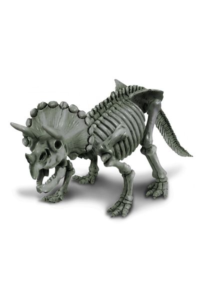 4M Educational set Dig and Discover Dinosaurs - Triceratops
