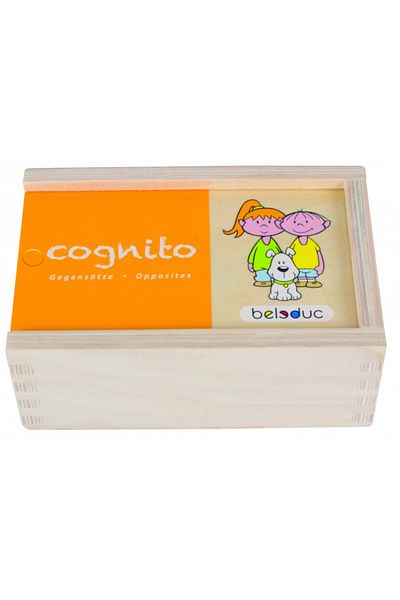 Beleduc Logická hra Cognito Antonym