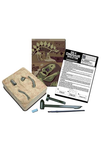 4M Educational set Dig and discover Dinosaurs - T-Rex