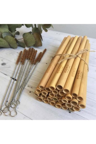 Mycocobowl Set of 2 Bamboo Straws with Patterned Pouch