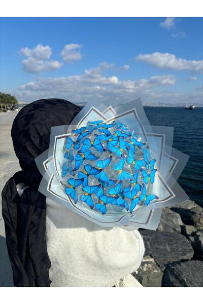 Melines Işıklı Buketi, Sevgiliye Hediye, Arkadaşa Hediye, Kelebek Buketi