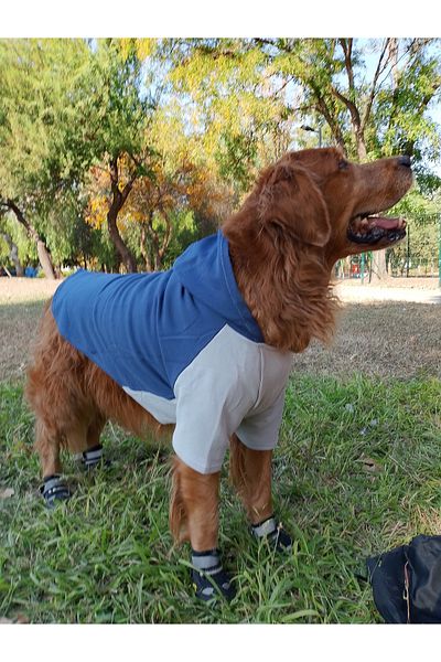 bubblecutepaw Patici Combed Cotton Dog Sweatshirt